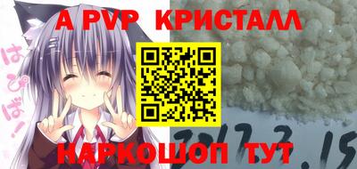 гашик Нарткала