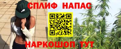 спиды Нальчик