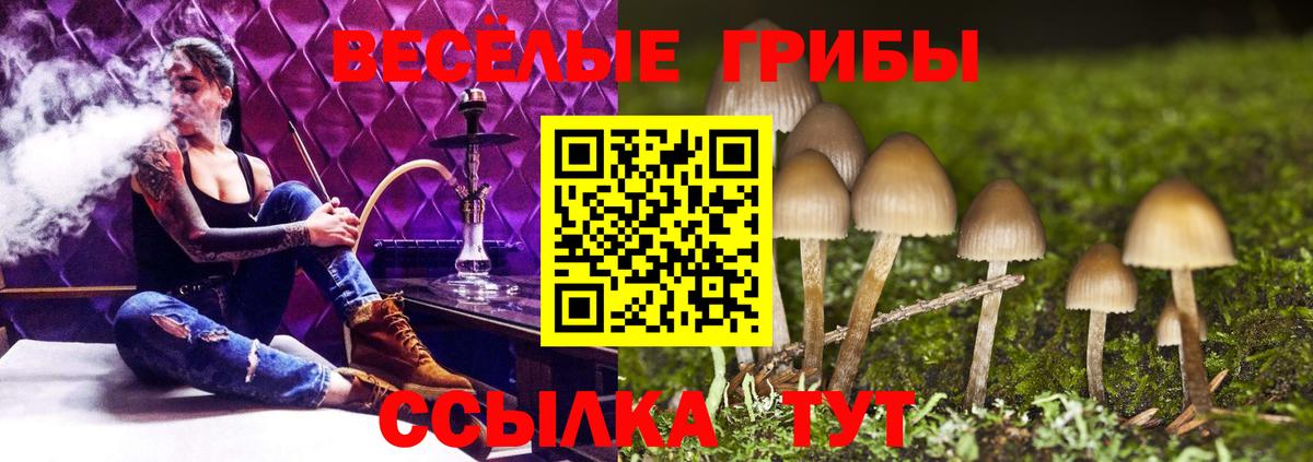 Галлюциногенные грибы MAGIC MUSHROOMS Будённовск