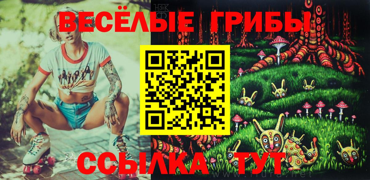 Галлюциногенные грибы MAGIC MUSHROOMS  Галлюциногенные грибы Psilocybe  Вход с VPN  Будённовск 