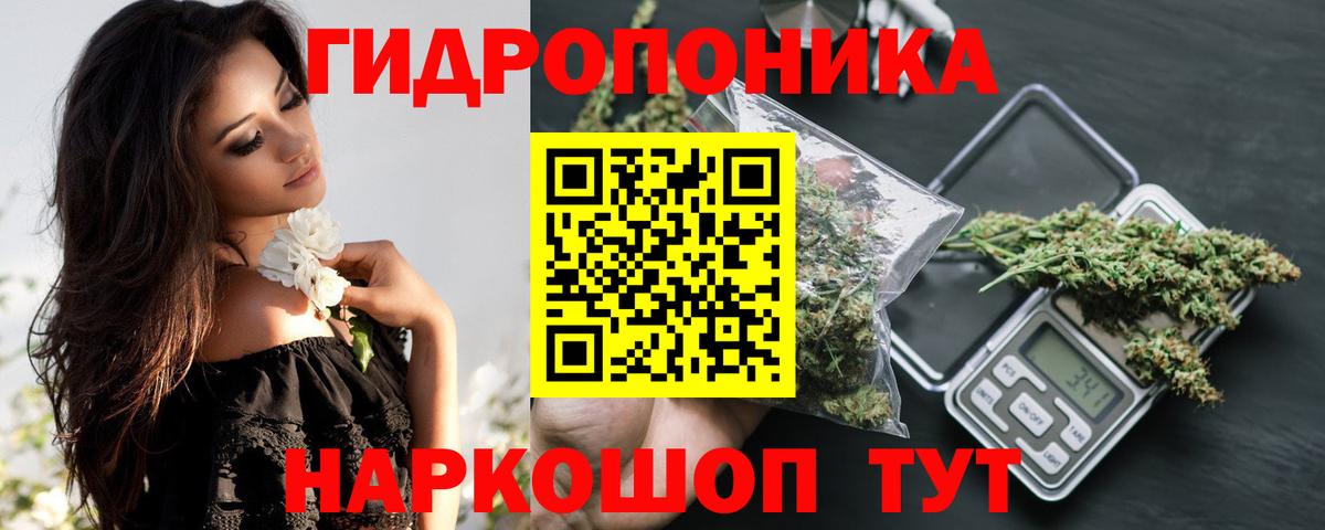 МАРИХУАНА сатива Будённовск